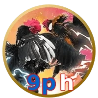 9ph